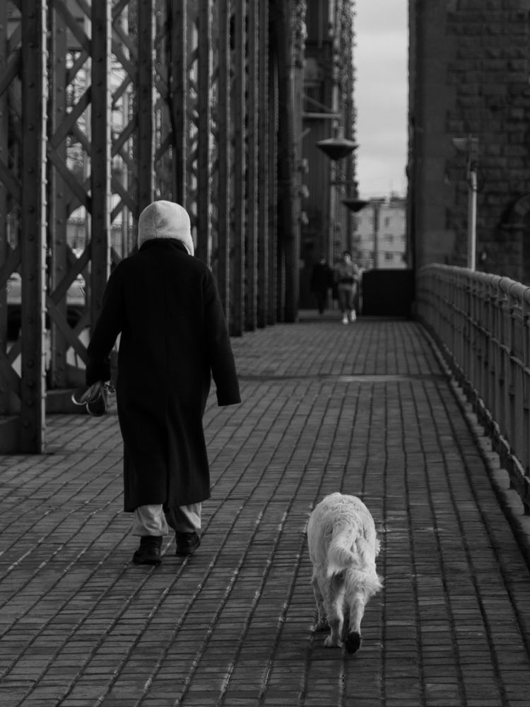 Photograph by Ольга Барбашова