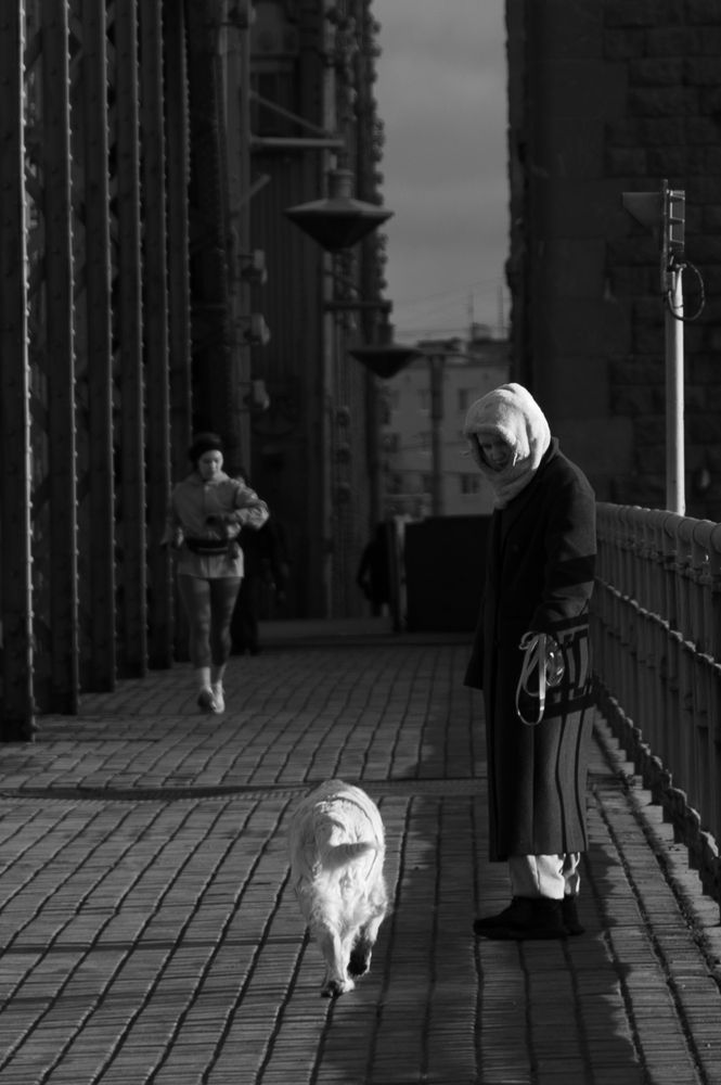 Photograph by Ольга Барбашова