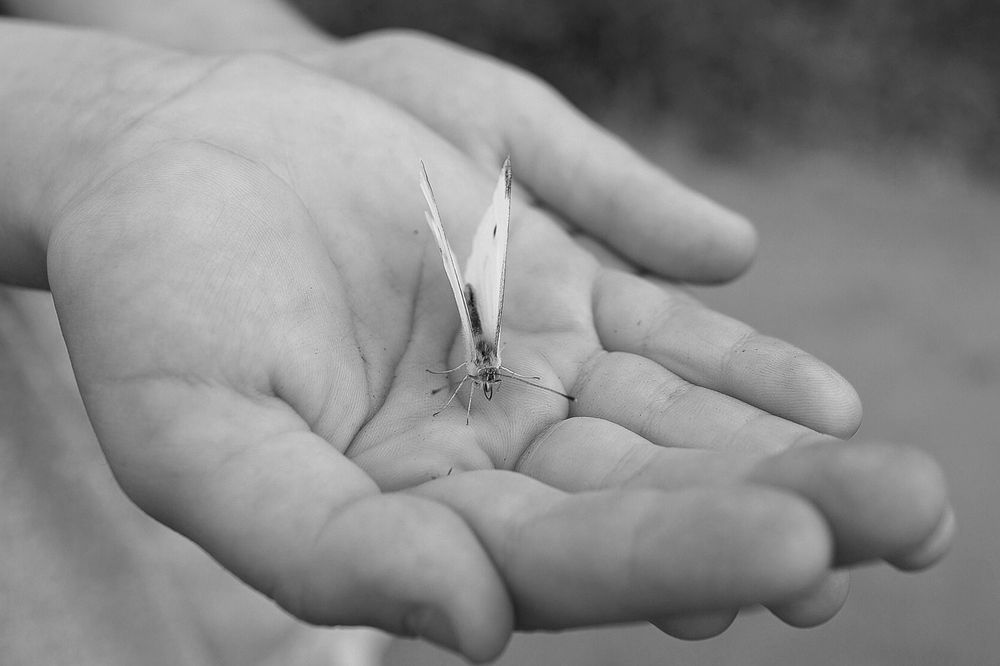 Photograph by Юлия Честнова