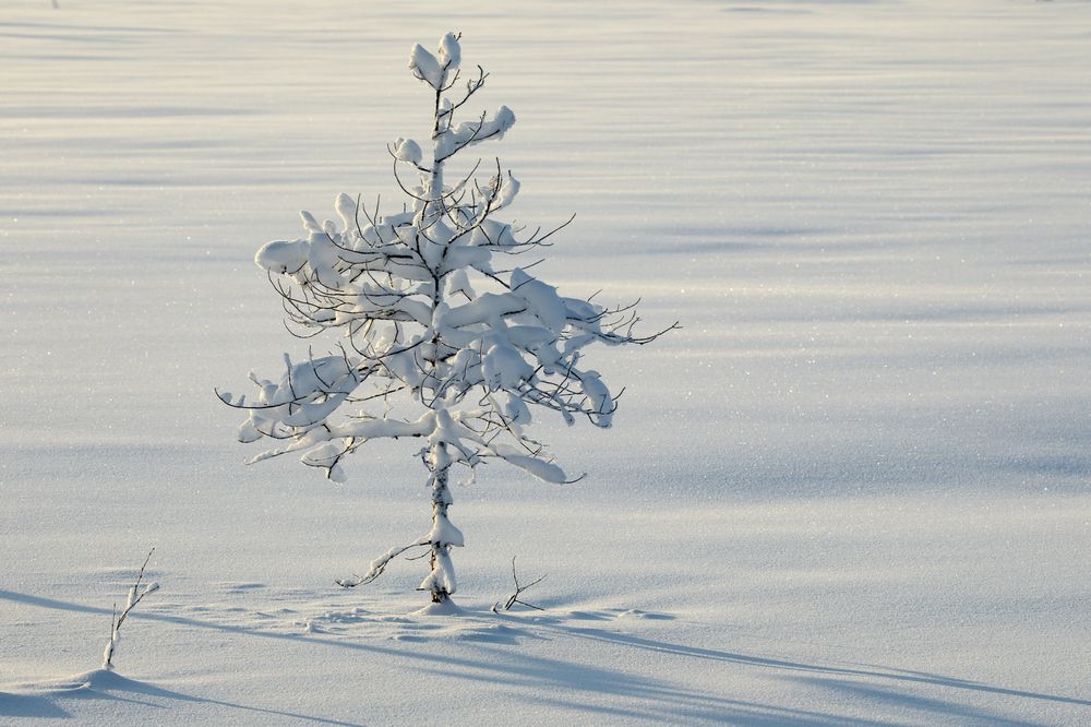 Photograph by Татьяна Борисова