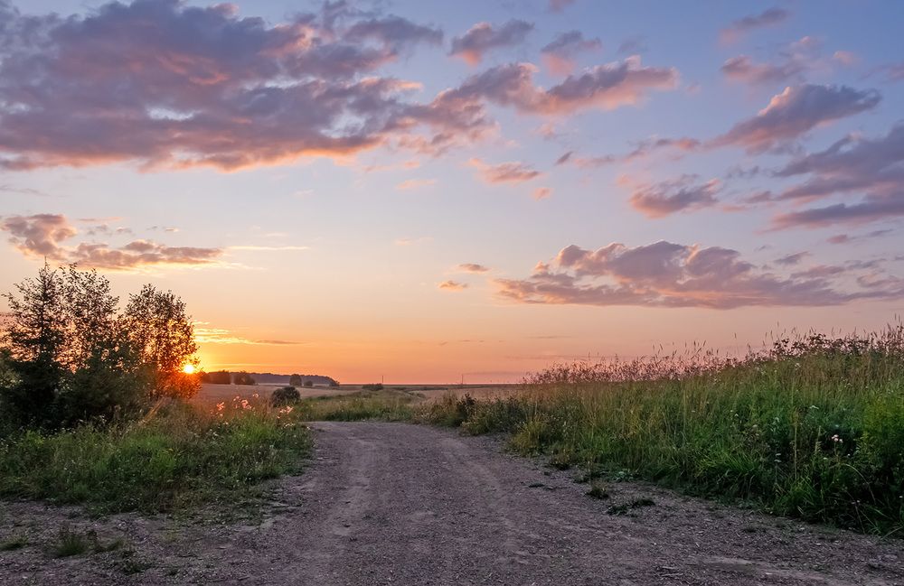 Фотография автора Наталья Липовская