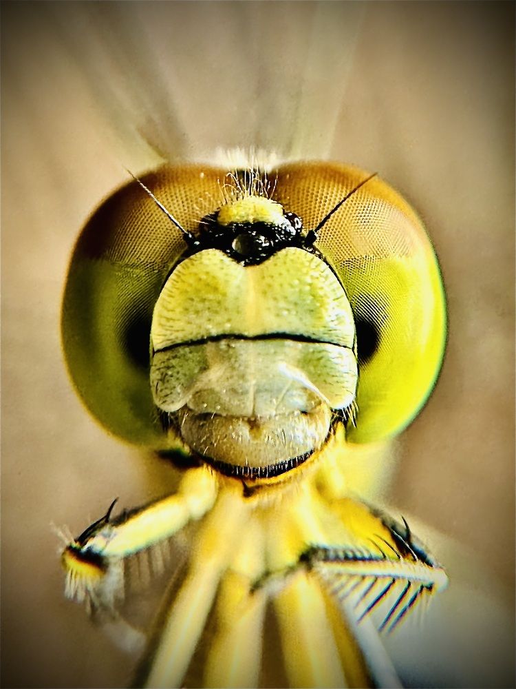 Photograph by RAMPRAKASH GNANM
