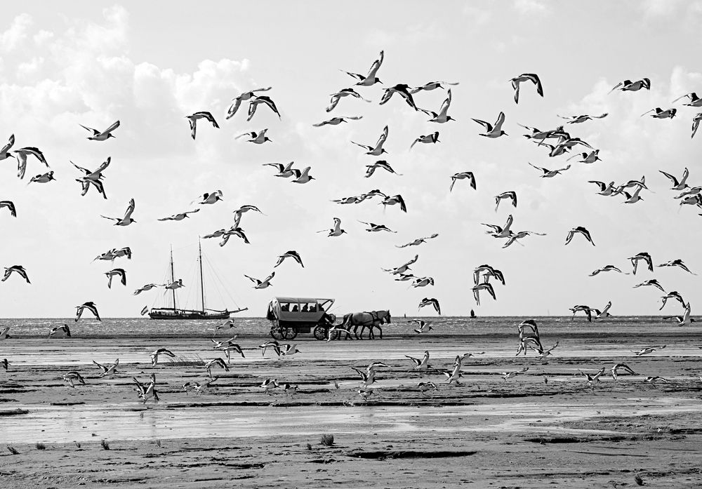 Фотография автора Olga Mamadzanova