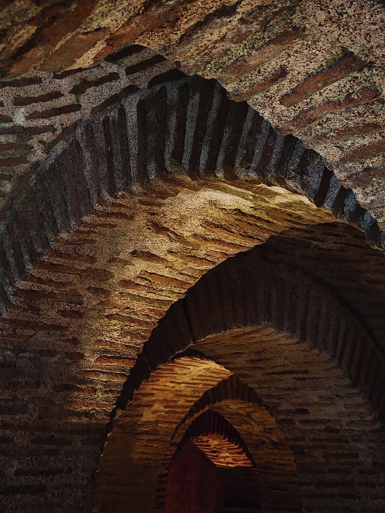 Фотография автора Юлия Есина