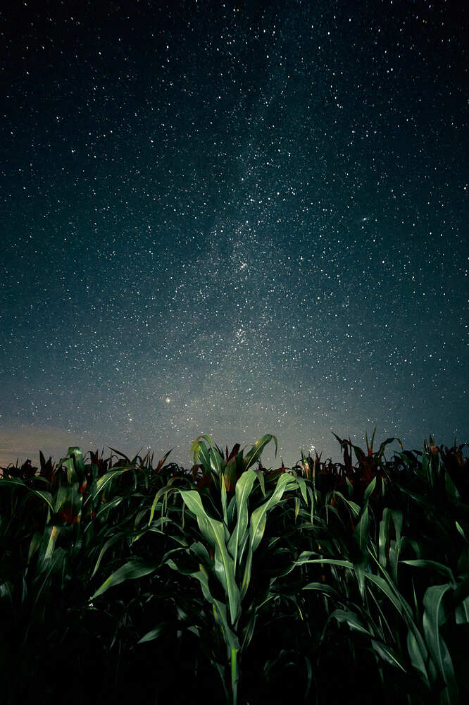 Photograph by Mikhail Khmelevskiy