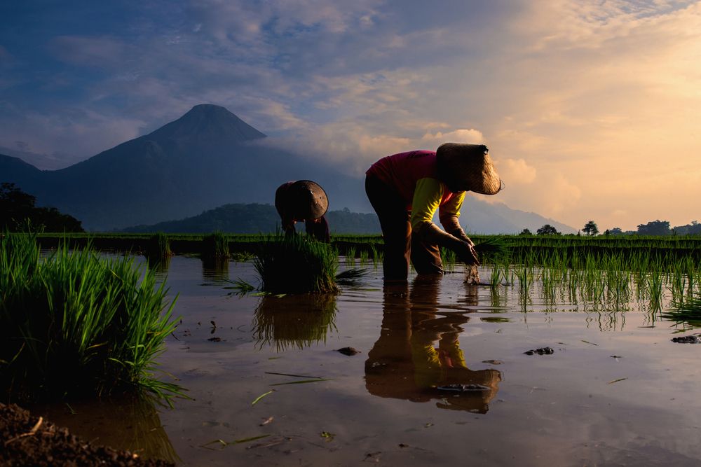 Together with the morning sun