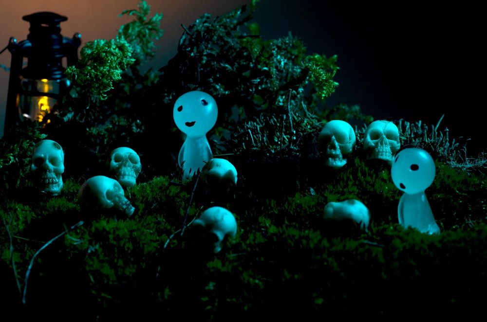 Фотография автора Эльвира Быкова