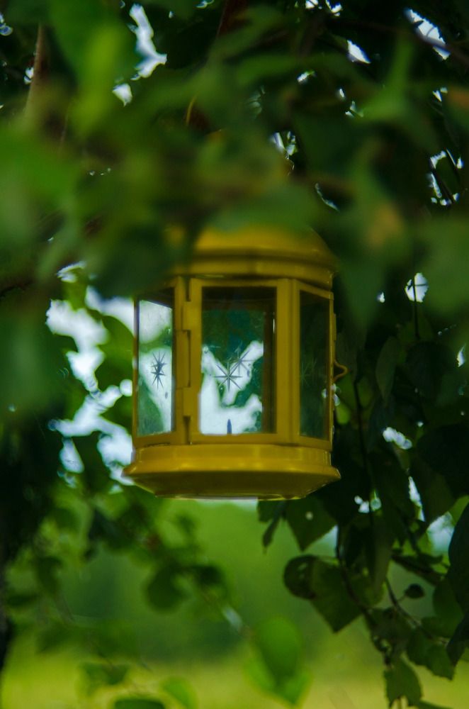 Photograph by Эльвира Быкова