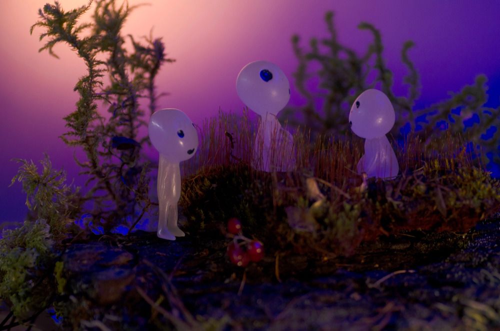 Фотография автора Эльвира Быкова