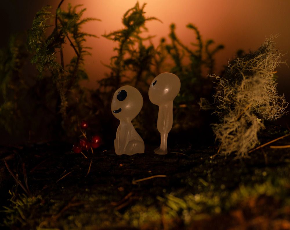 Фотография автора Эльвира Быкова