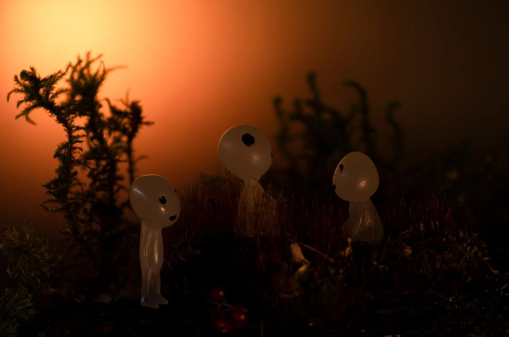 Фотография автора Эльвира Быкова