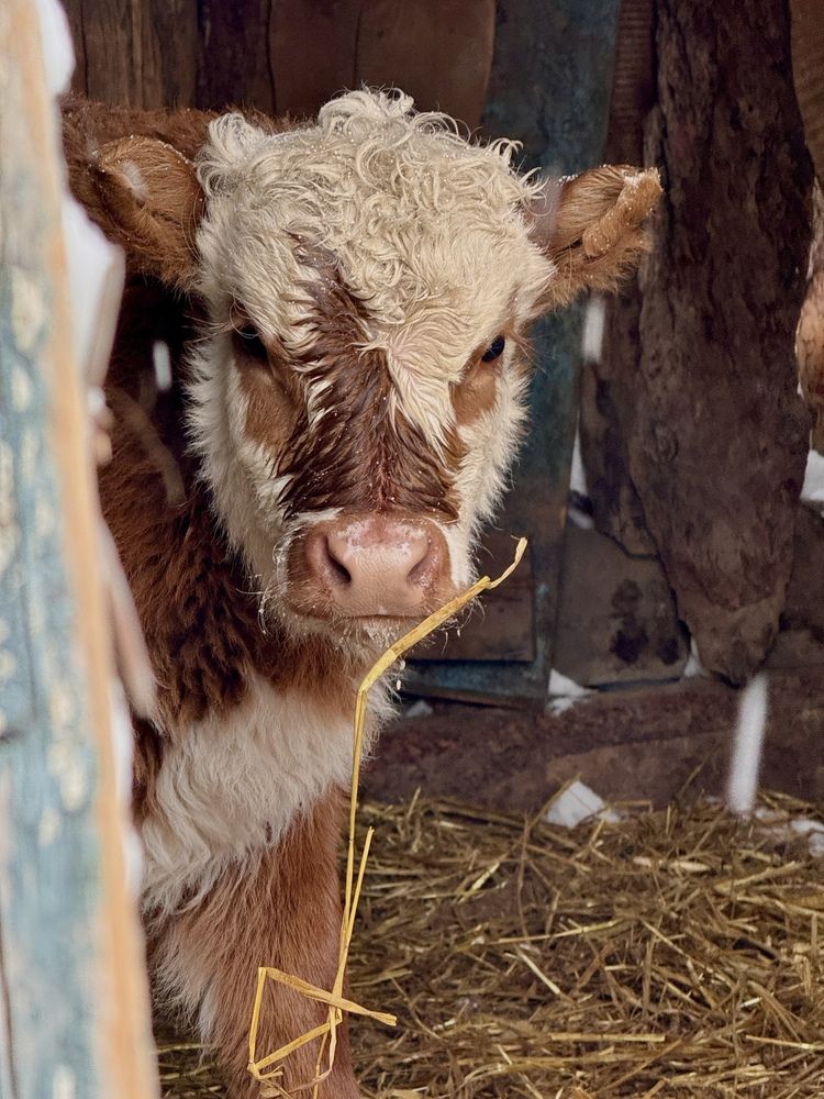 Photograph by Ольга Виноградова