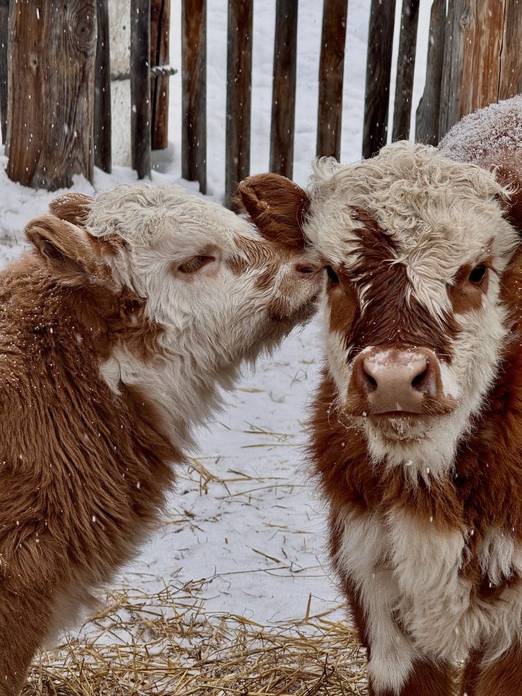 Photograph by Ольга Виноградова