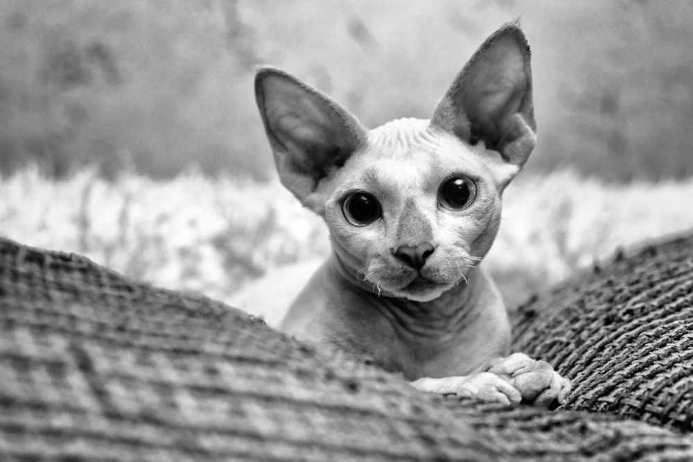 Photograph by Зубков Вадим