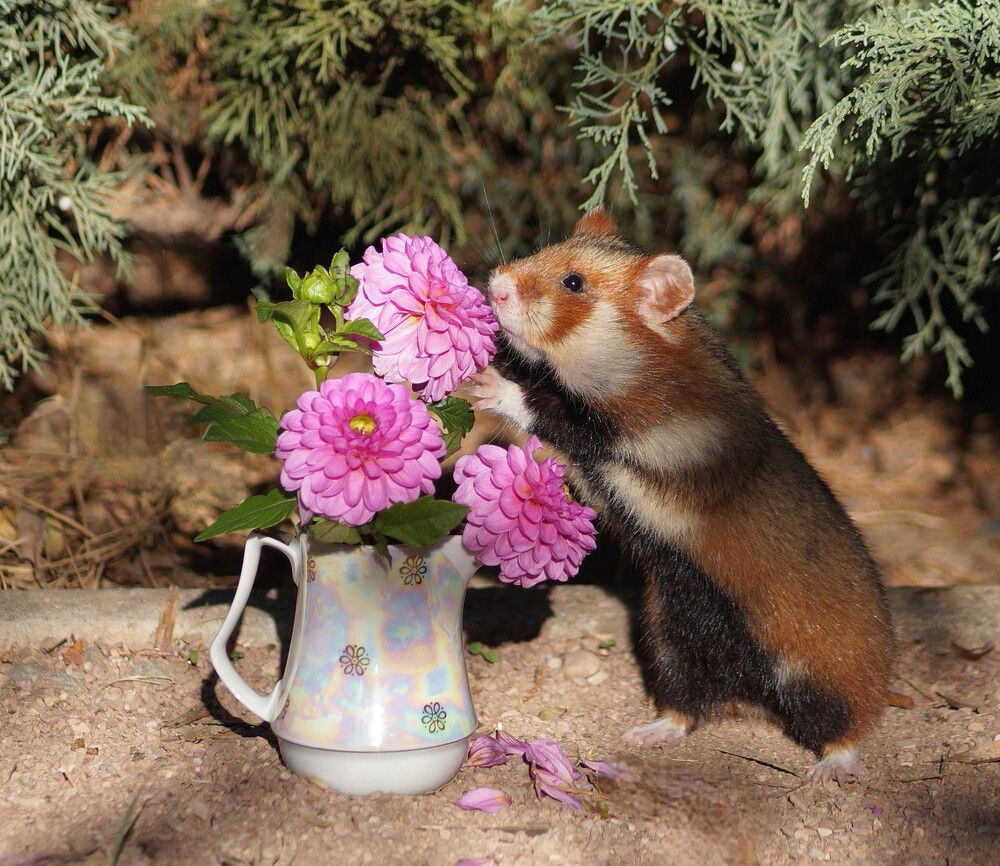 Photograph by Наталья Степаненко