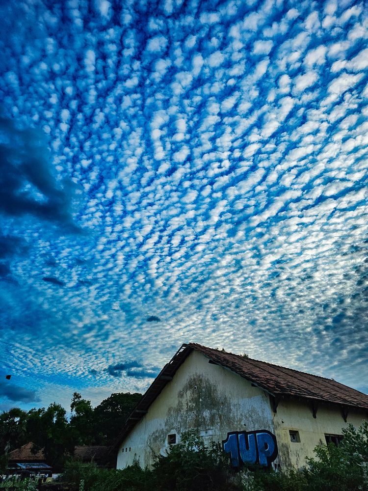 Photograph by Rashad Rafeudeen