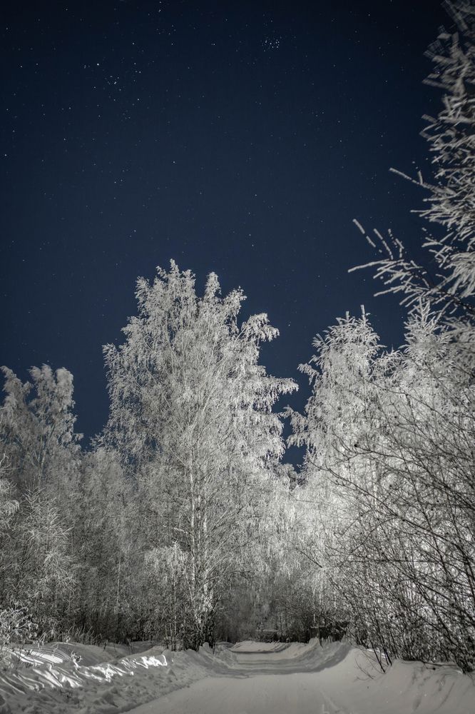 Photograph by Высотских Владимир