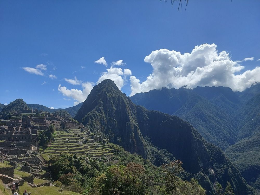 Photo #11857678