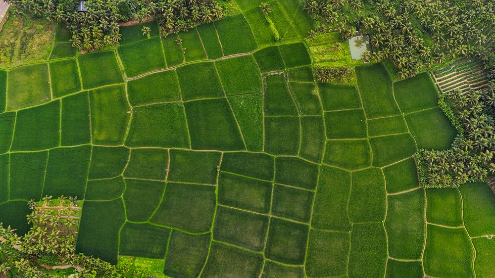 Photograph by T.M.ADITHYA SHRAVAN