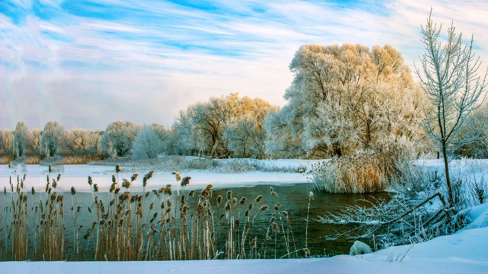 Фотография автора Графов Борис