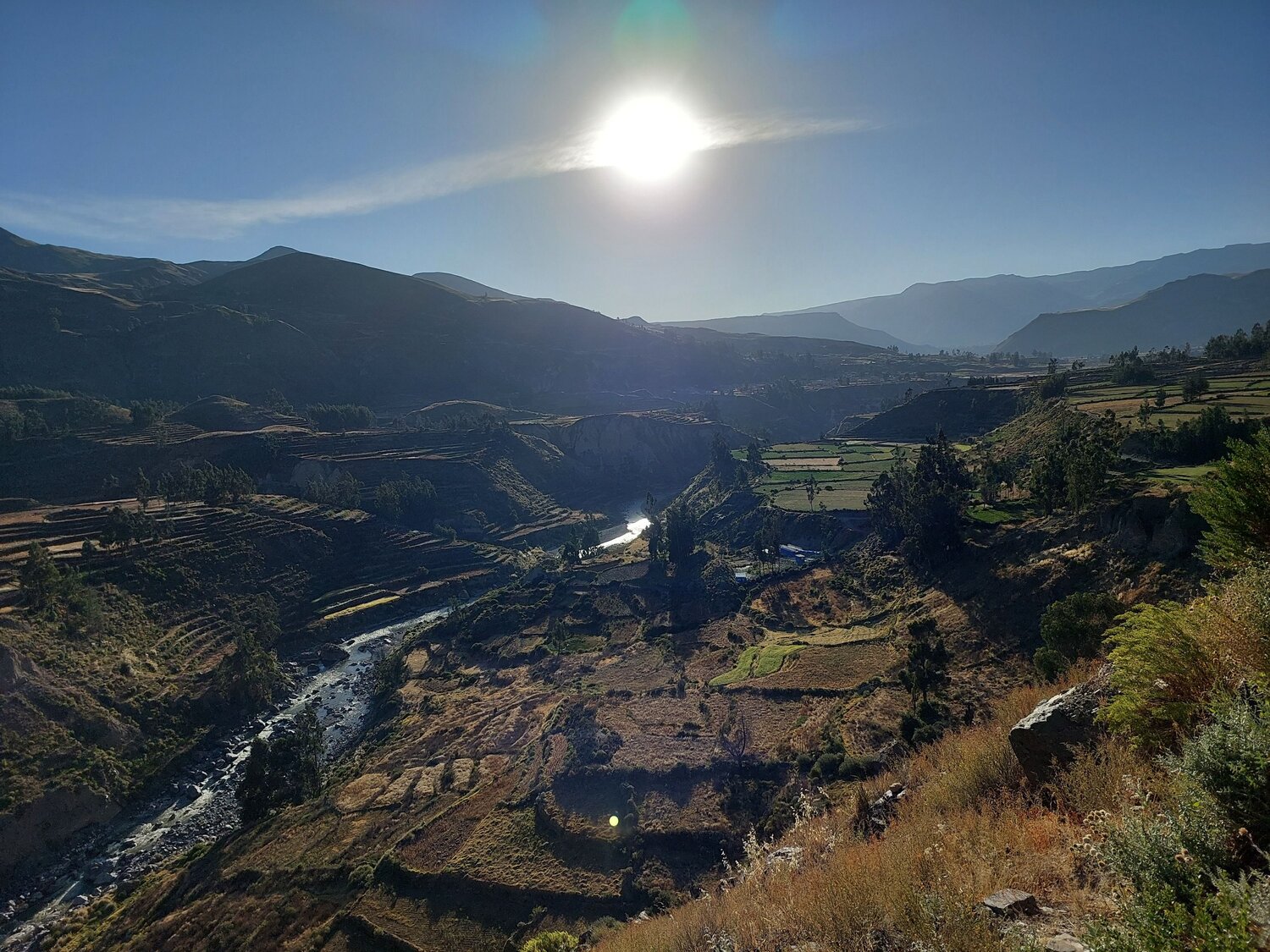 Photo #11857730