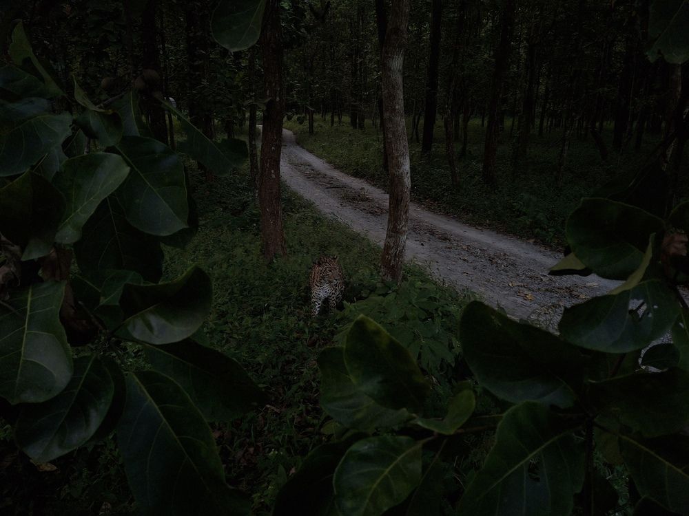 Photo #11857745