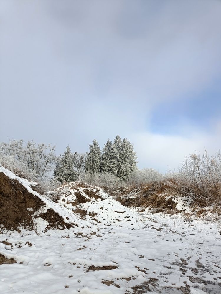 Photograph by Карина Слабкая