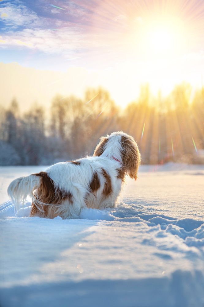 Photograph by Любовь Перевозникова