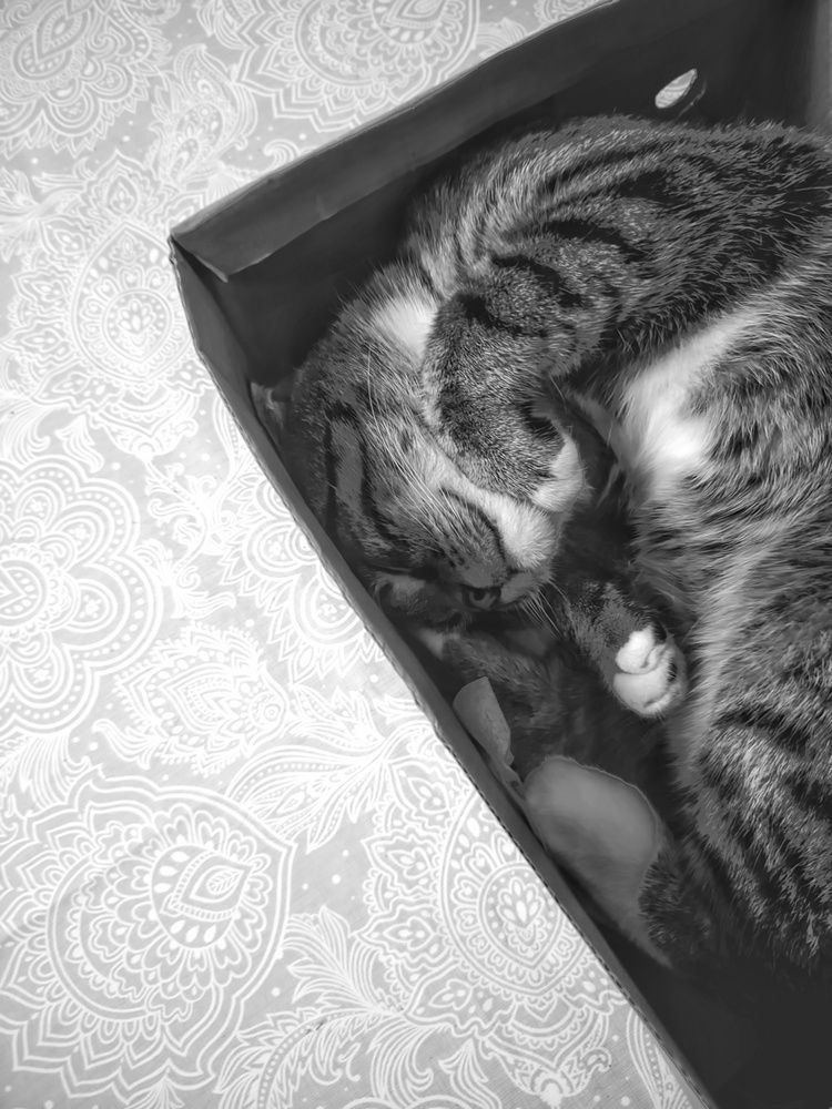 Photograph by Наталья Егорова