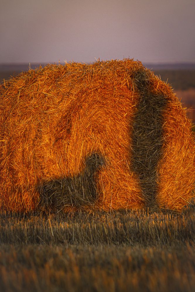 Photograph by Эльнара Исаева