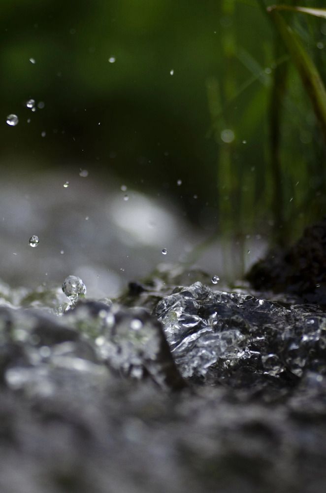 Photograph by Эльвира Быкова