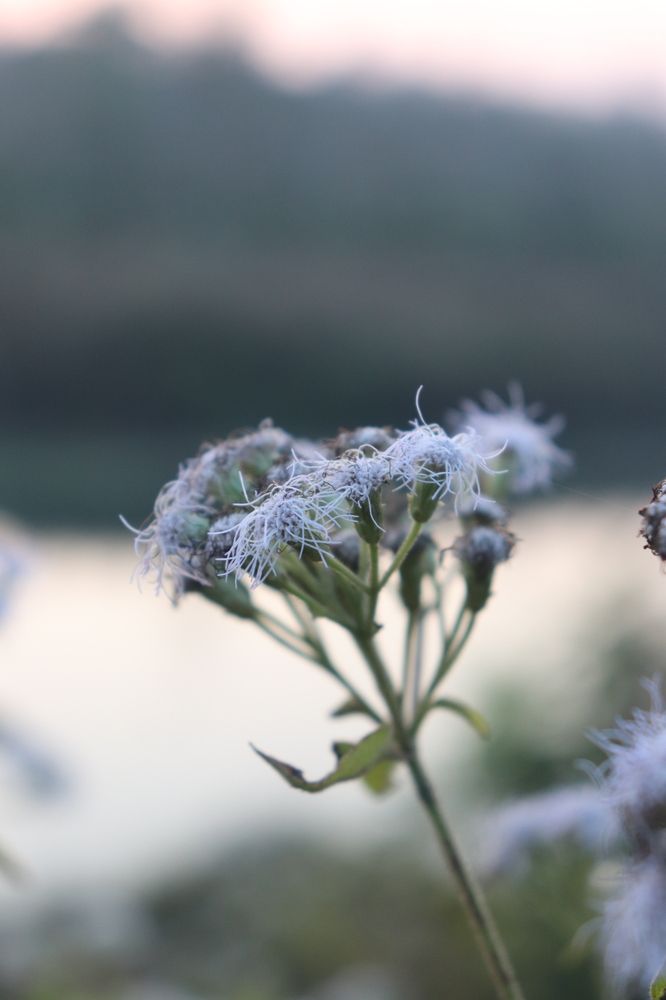 Фотография автора Sonali Mahakal