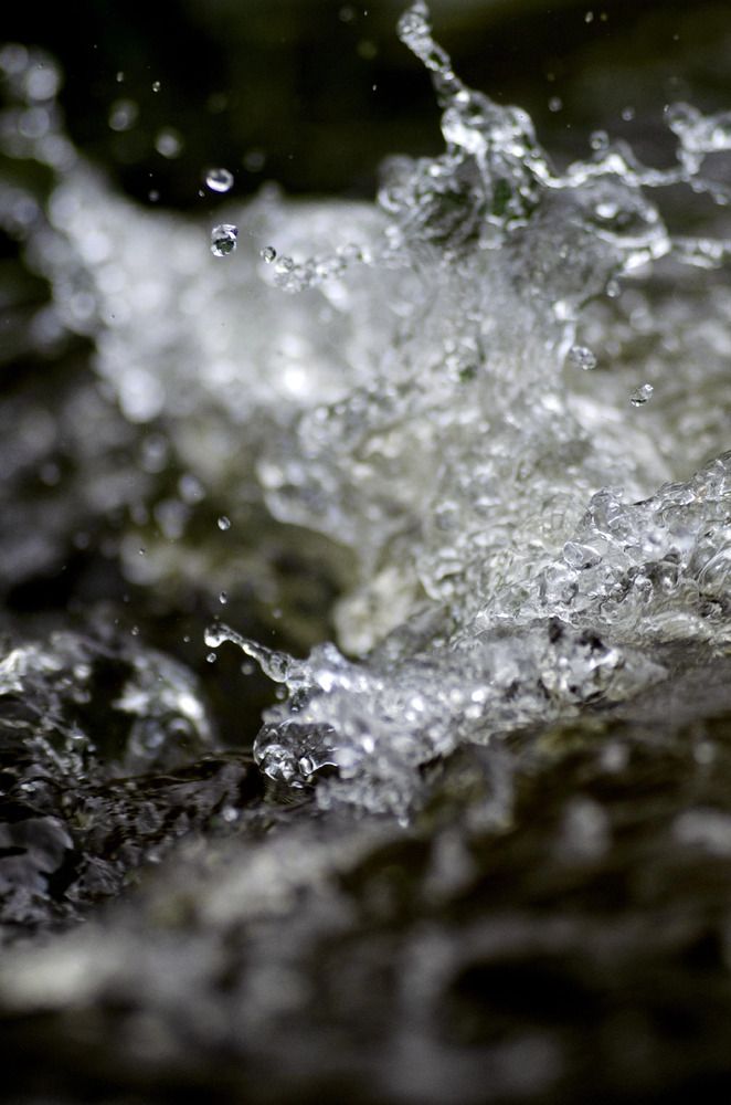 Photograph by Эльвира Быкова