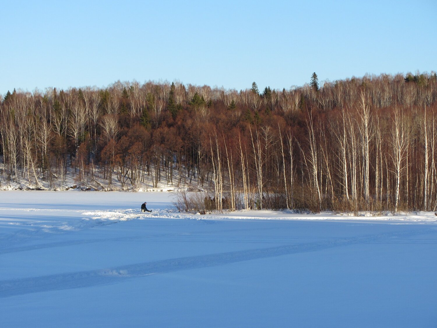 Photo #11857905