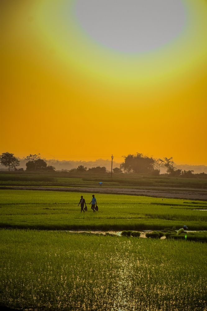 Farmers on their way home from the fields before dusk