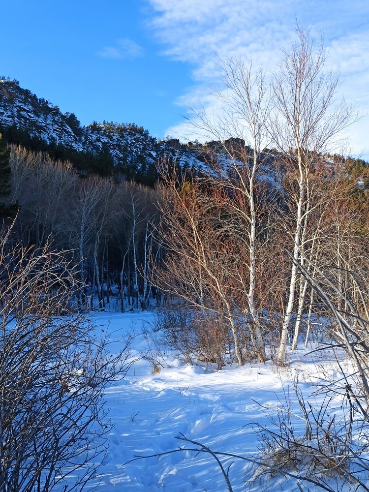 Photograph by Луцук Мария