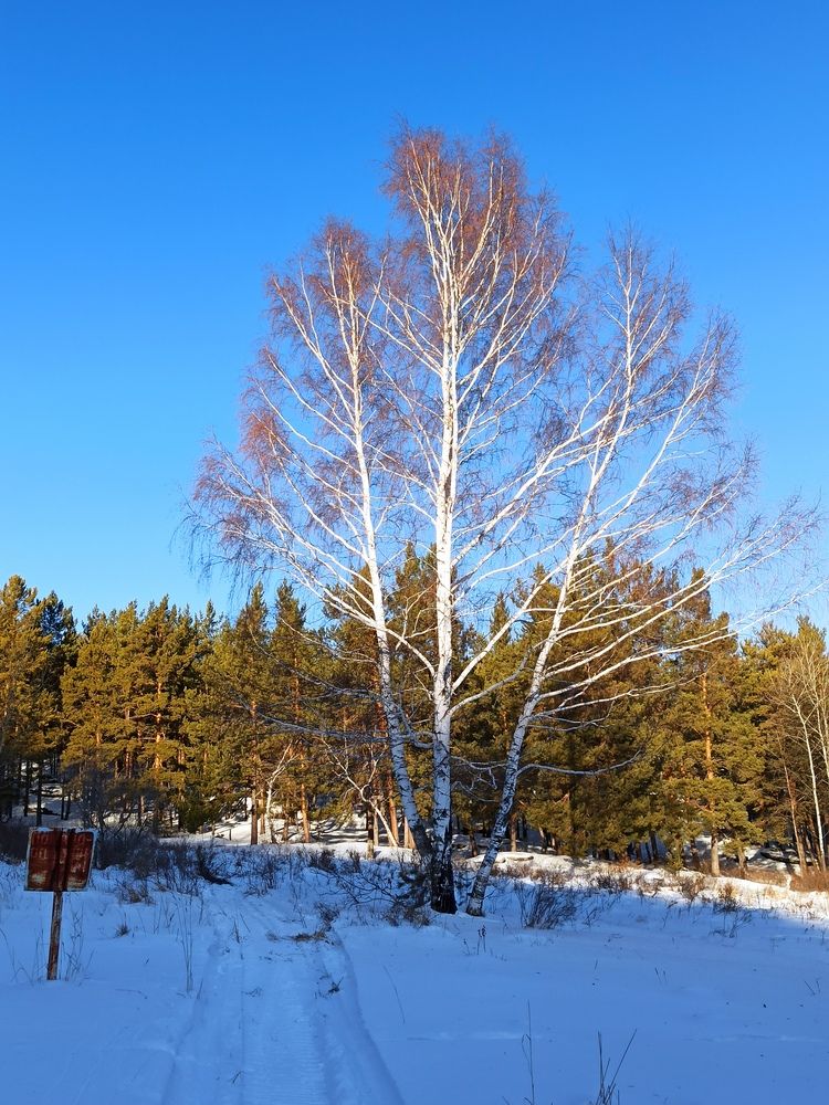 Photograph by Луцук Мария