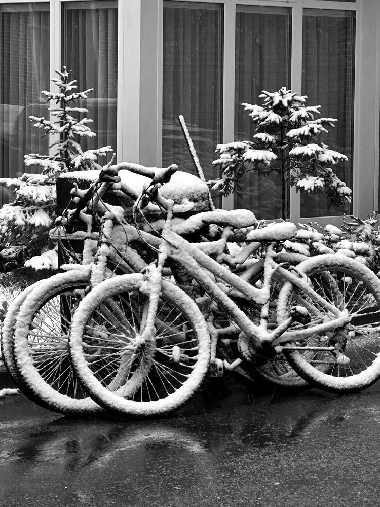 Photograph by Nataliia Nedelina