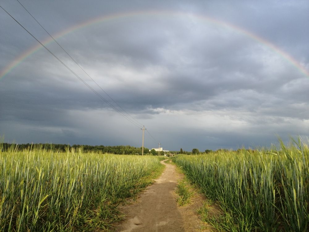 Photograph by Елена