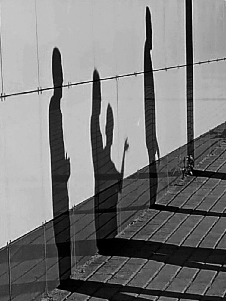 Photograph by Наталья Москвина