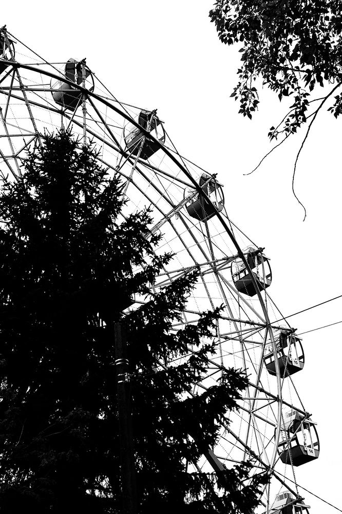 Photograph by Елена Силантьева