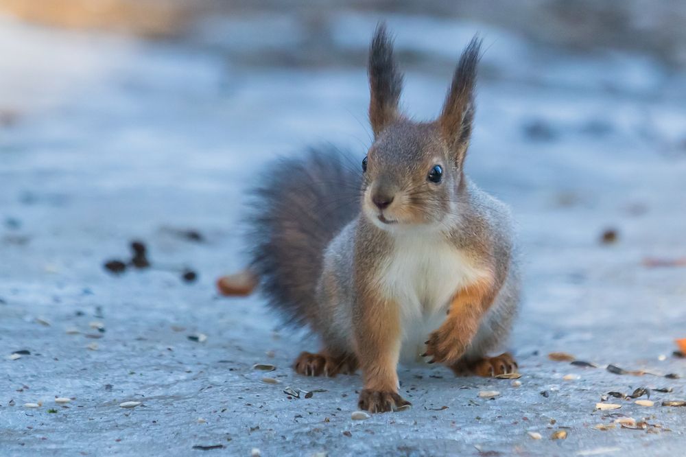 Photograph by Татьяна Гладкова