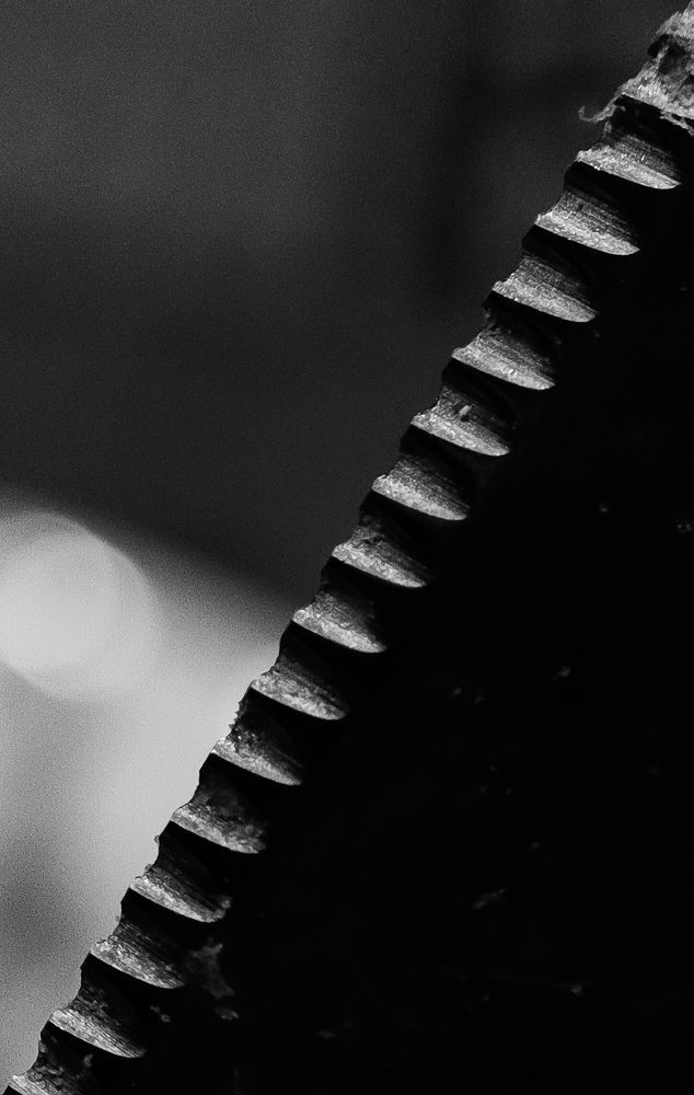 Photograph by Ehsan Fathi