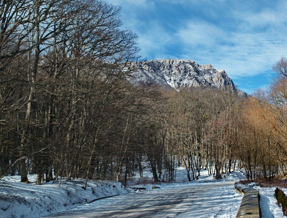 Photograph by Алексей Мордвишин