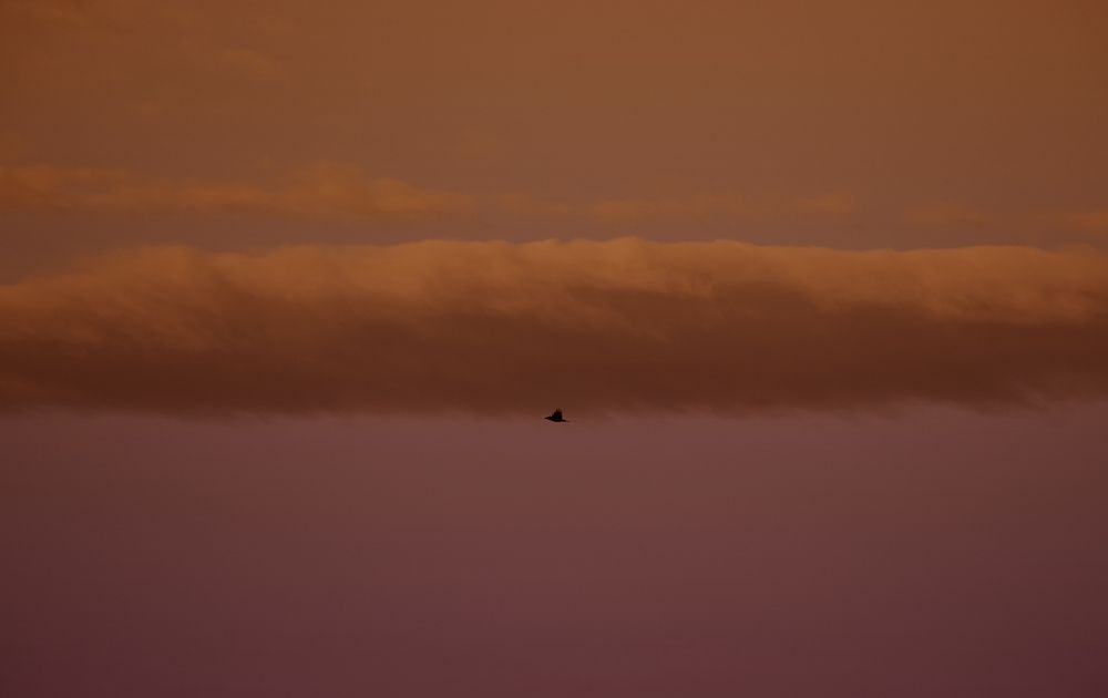 Photograph by Ehsan Fathi