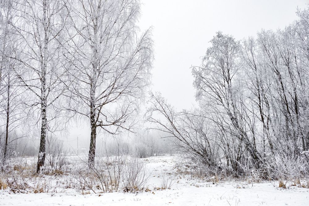 Photograph by Любовь Перевозникова