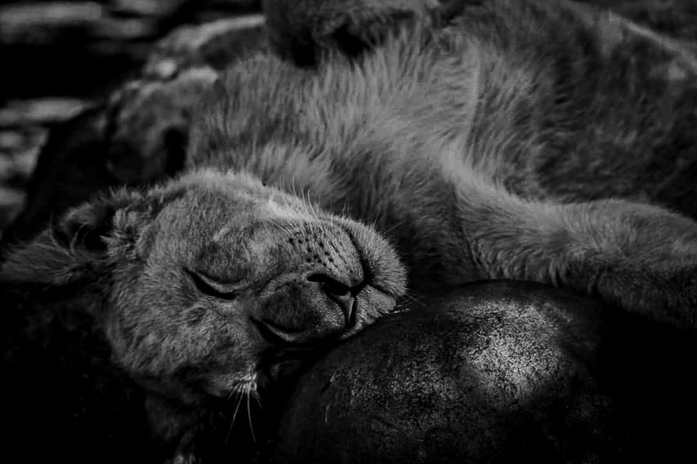 Photograph by Keegan Boland