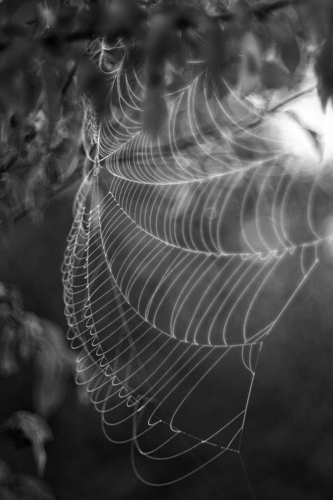 Photograph by Владимир Леликов-Кузьменко