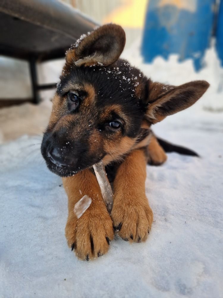 Photograph by Анна