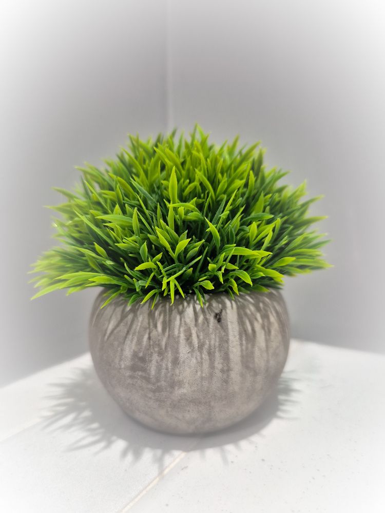 Photograph by Mariya Volynkina